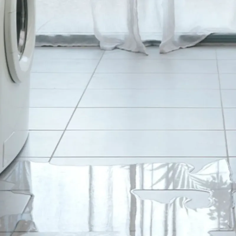 Appliance Leak Cleanup in Des Moines, IA