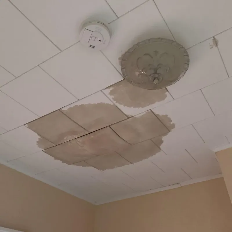 Ceiling Water Damage Repair in Des Moines, IA
