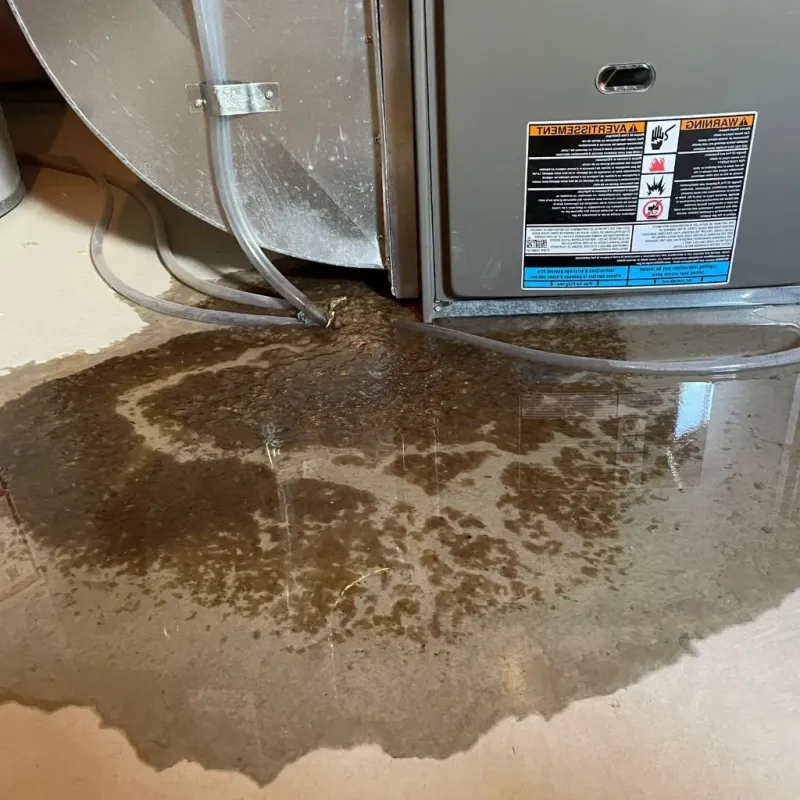 Pipe Burst and Leak Restoration in Des Moines, IA