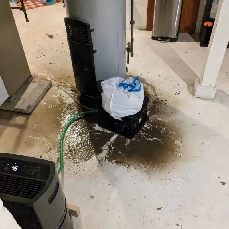 Sewage Backup Cleanup Service in Des Moines, IA